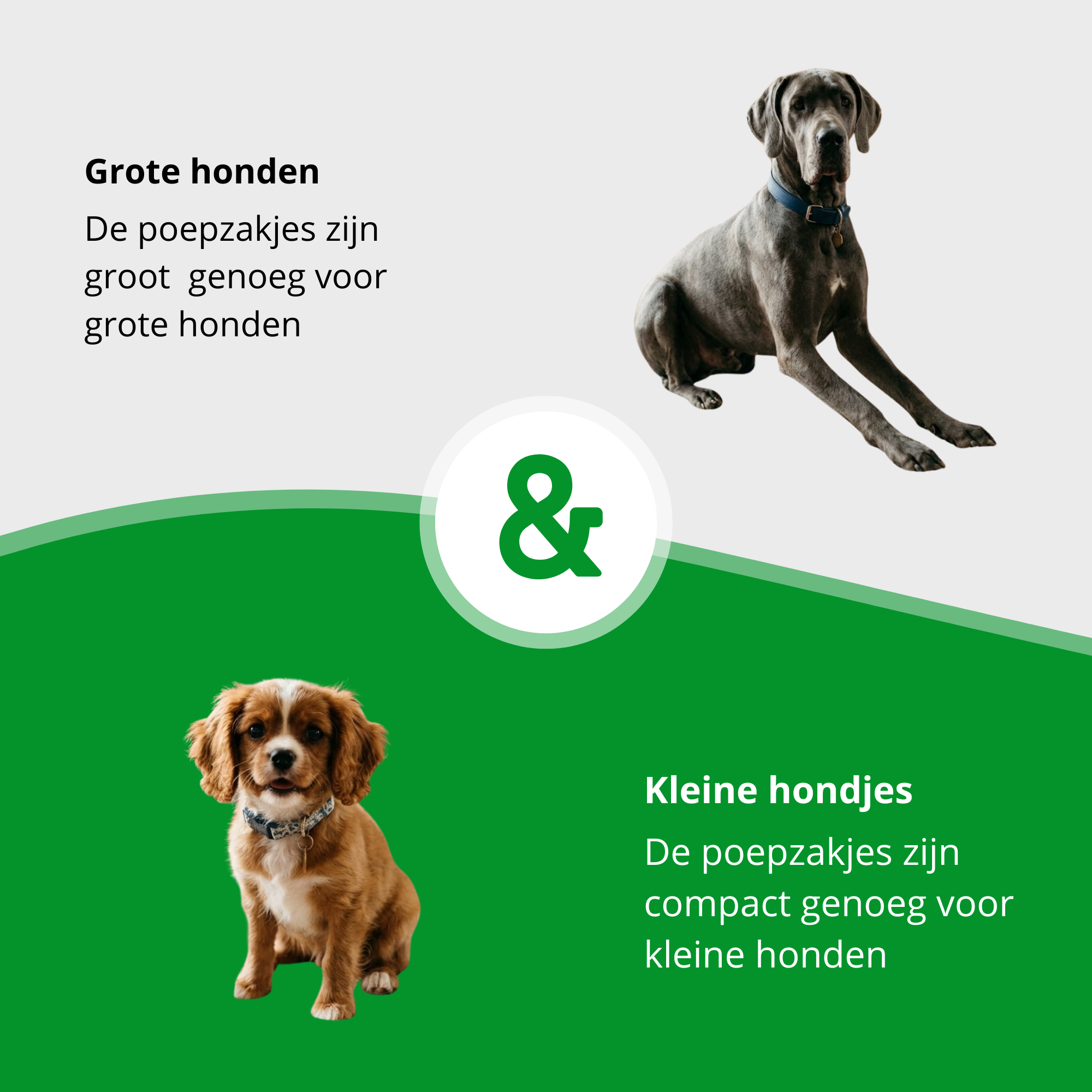 Hondenpoepzakjes - 300st