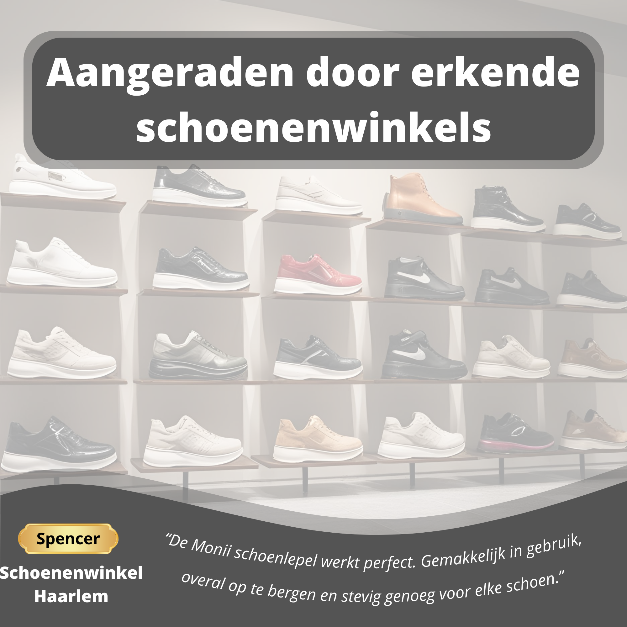 Schoenlepel